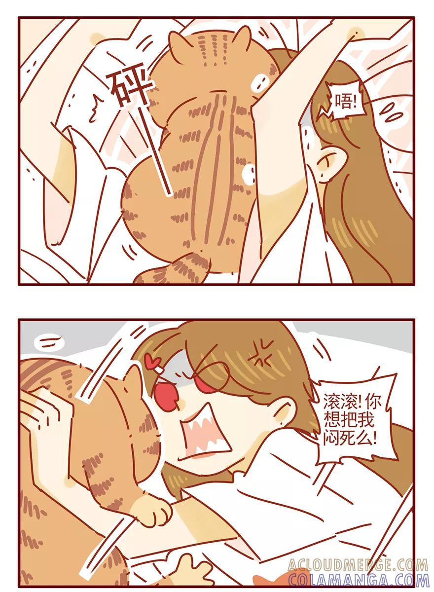 我只是一只小猫咪 第46话 第17页