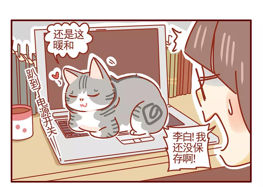 我只是一只小猫咪 第47话 第8页