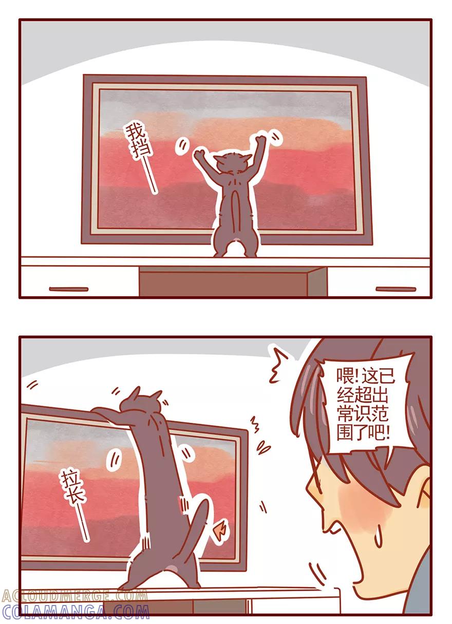 我只是一只小猫咪 第47话 第13页