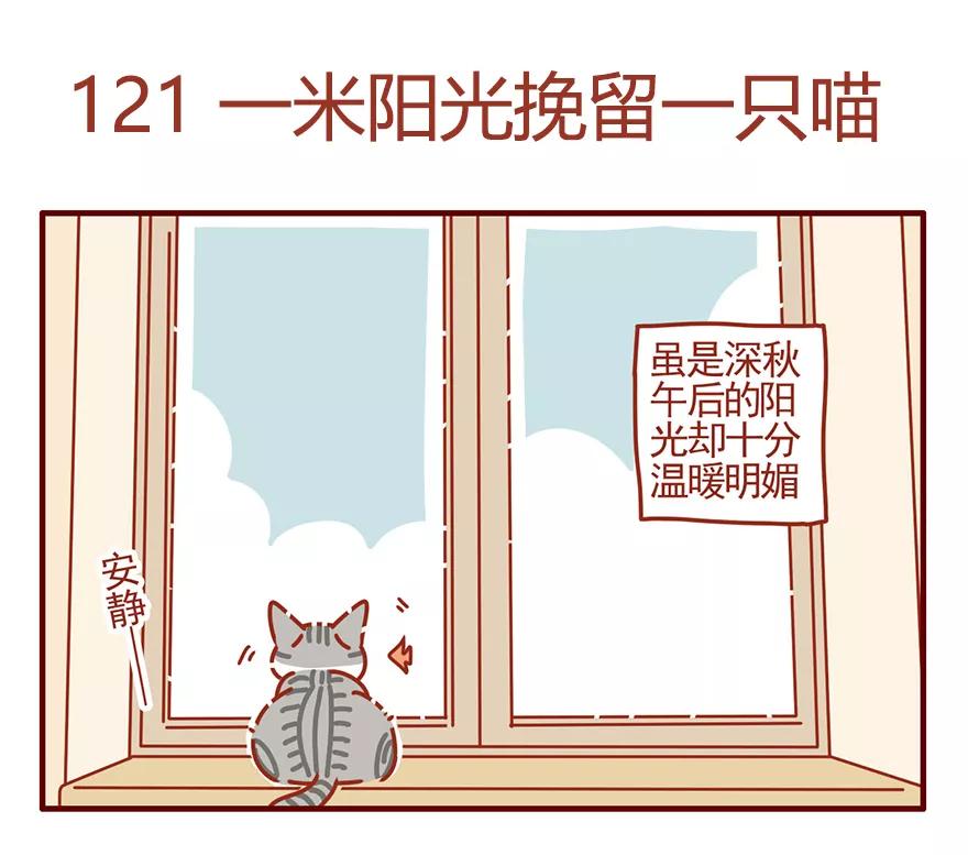 我只是一只小猫咪 第47话 第14页