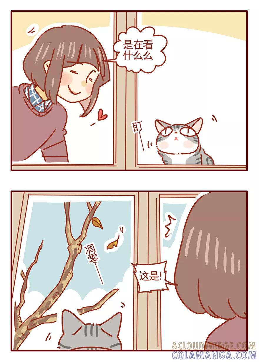 我只是一只小猫咪 第47话 第17页