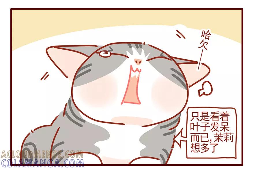 我只是一只小猫咪 第47话 第19页