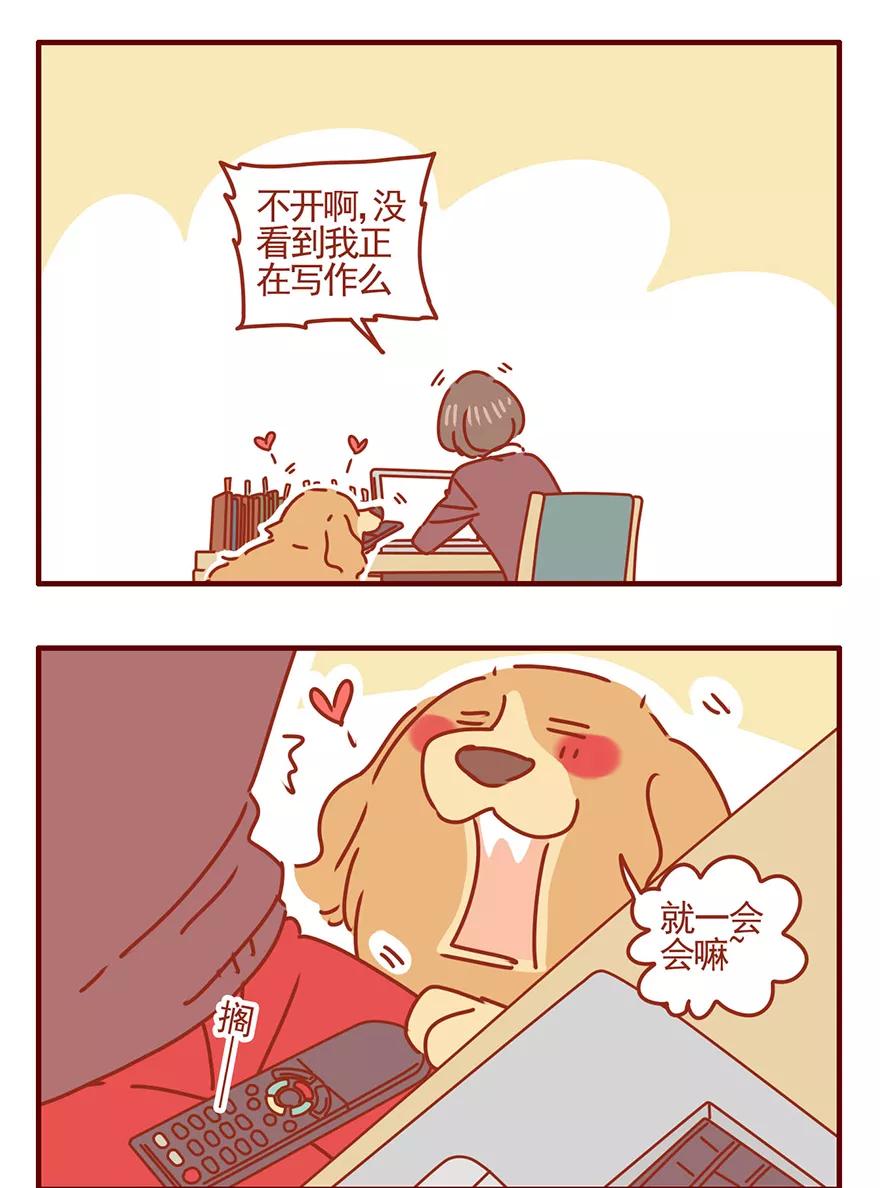 我只是一只小猫咪 第47话 第4页