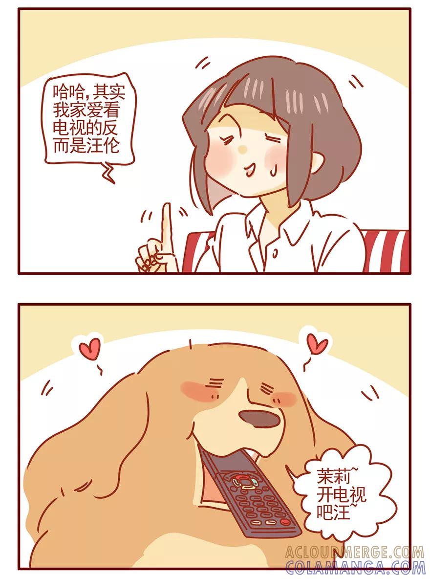 我只是一只小猫咪 第47话 第3页