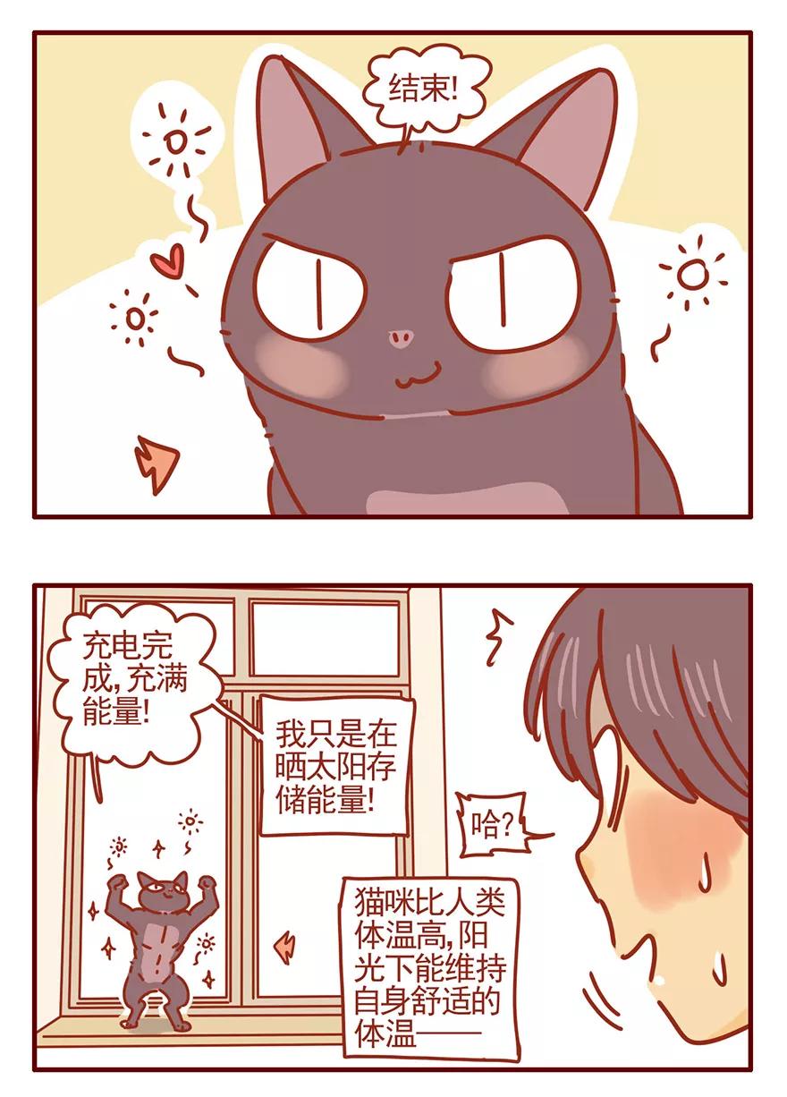我只是一只小猫咪 第48话 第6页