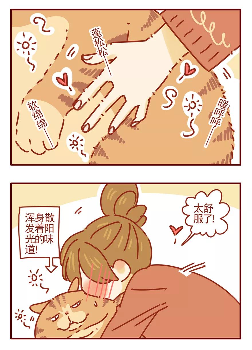 我只是一只小猫咪 第48话 第16页