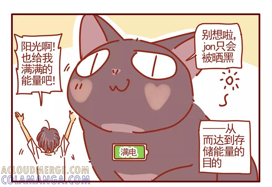 我只是一只小猫咪 第48话 第7页