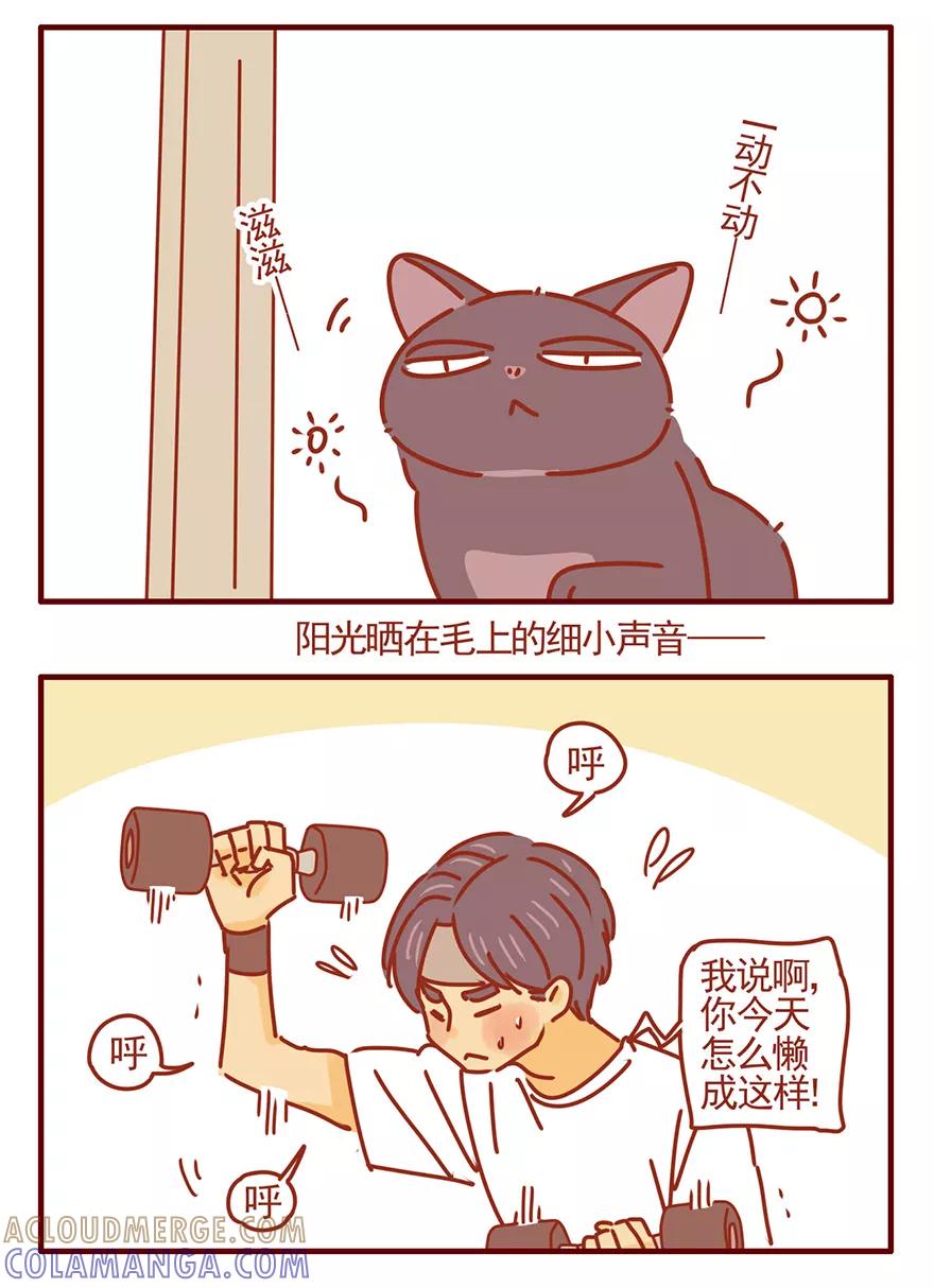 我只是一只小猫咪 第48话 第5页