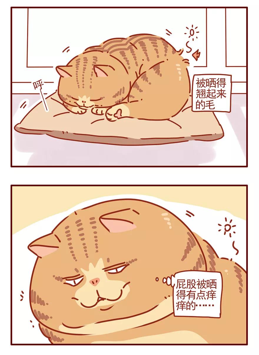 我只是一只小猫咪 第48话 第10页