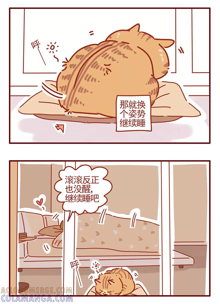 我只是一只小猫咪 第48话 第11页
