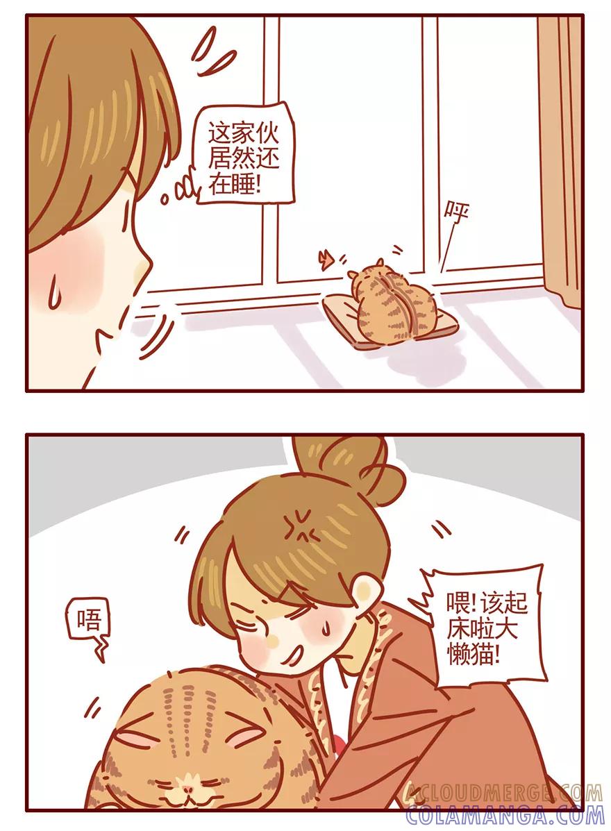我只是一只小猫咪 第48话 第15页