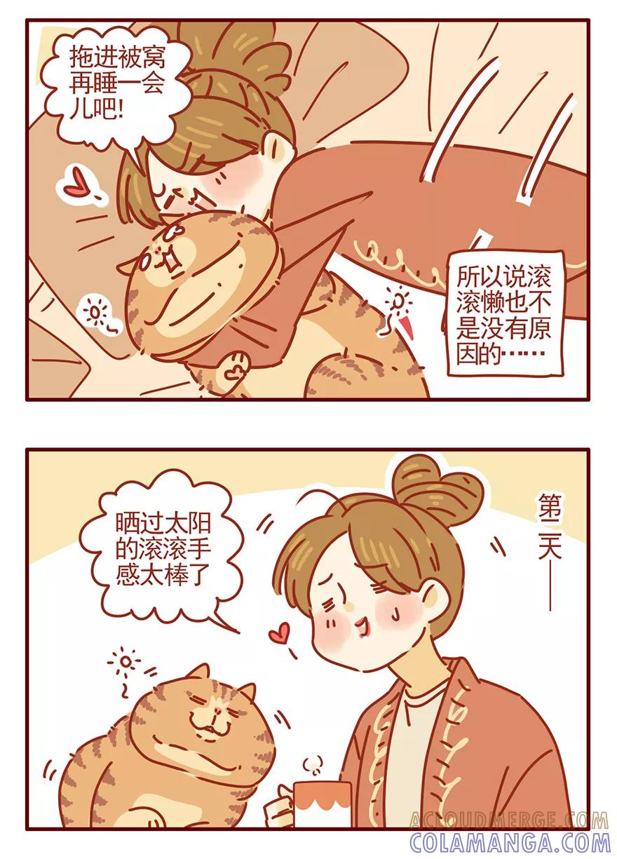 我只是一只小猫咪 第48话 第17页