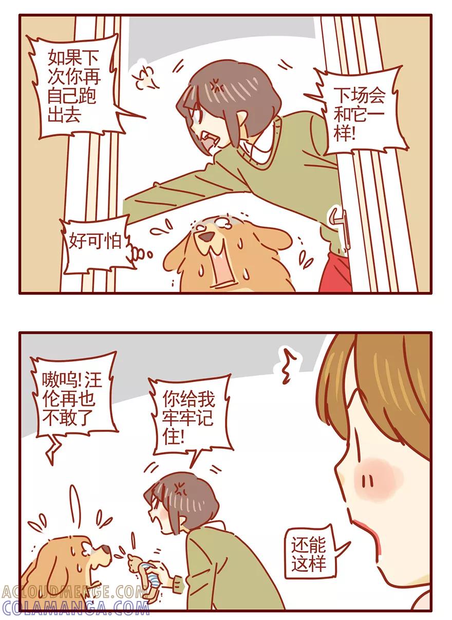 我只是一只小猫咪 第49话 第17页