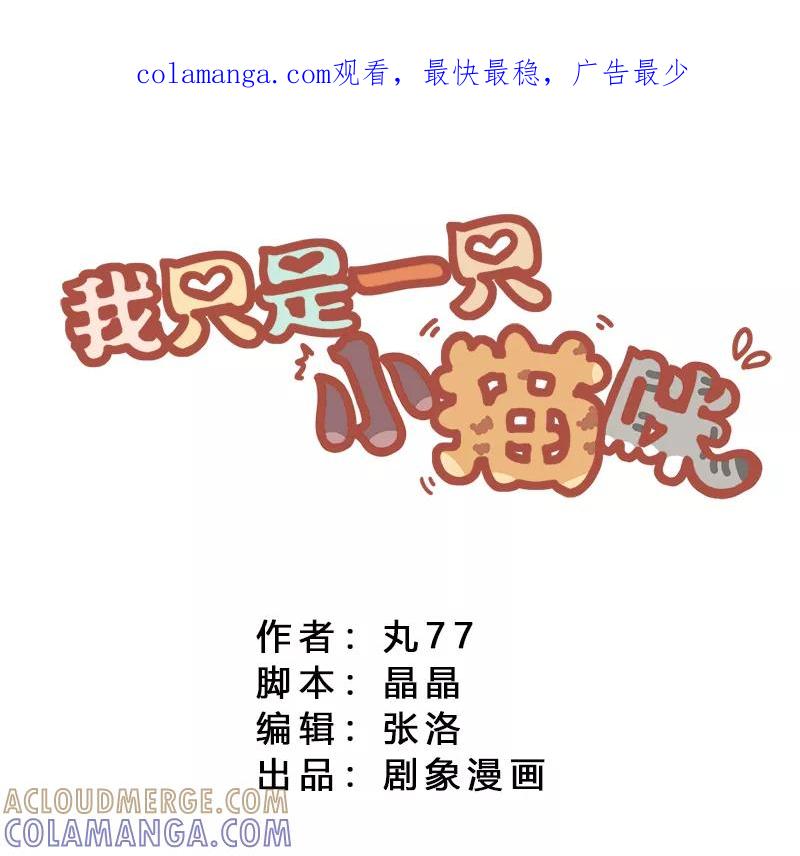 我只是一只小猫咪 第5话 第1页