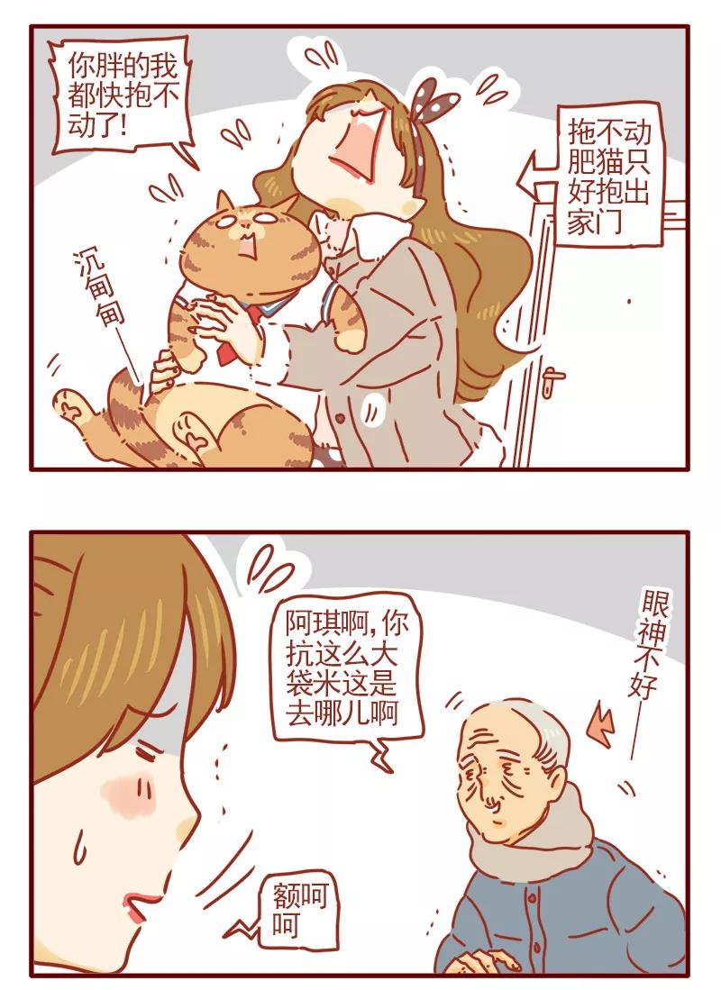 我只是一只小猫咪 第5话 第14页