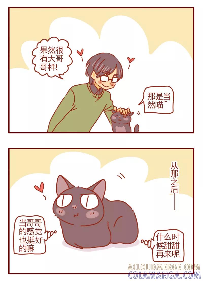 我只是一只小猫咪 第5话 第7页