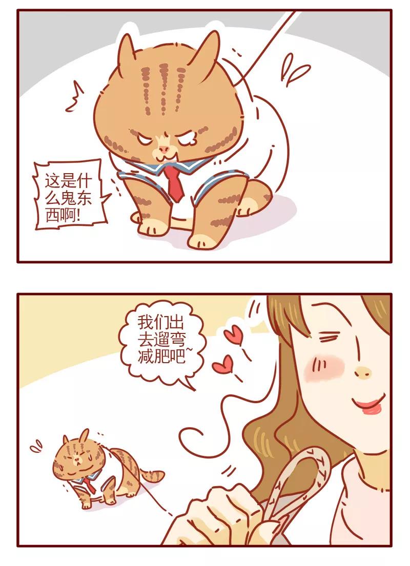 我只是一只小猫咪 第5话 第12页
