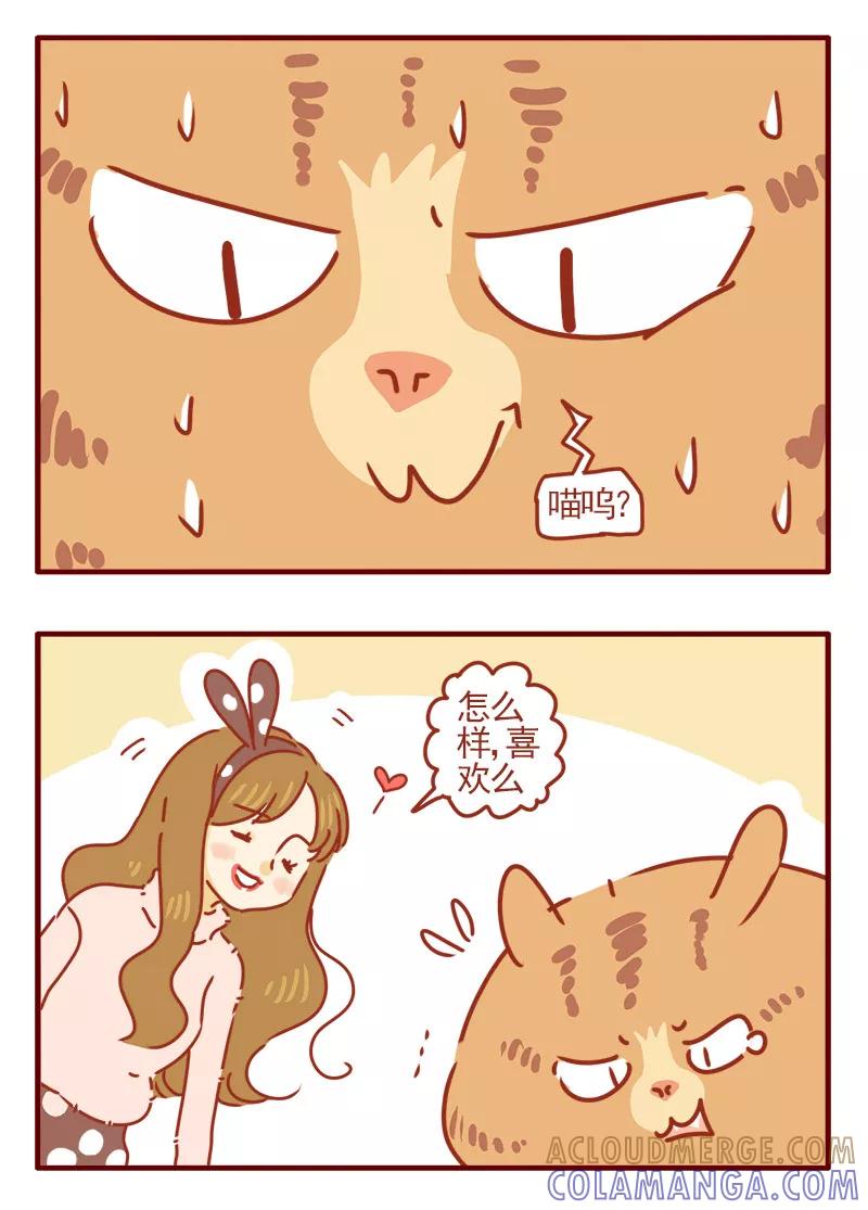 我只是一只小猫咪 第5话 第11页