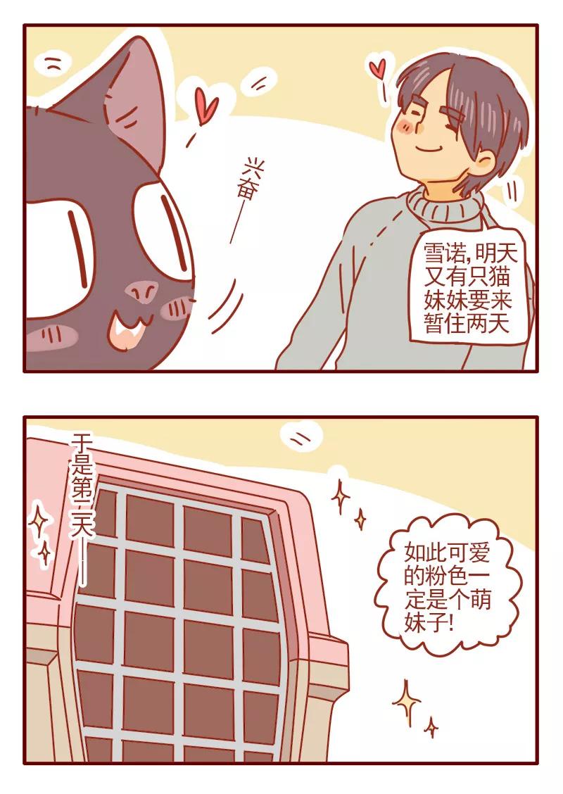 我只是一只小猫咪 第5话 第8页