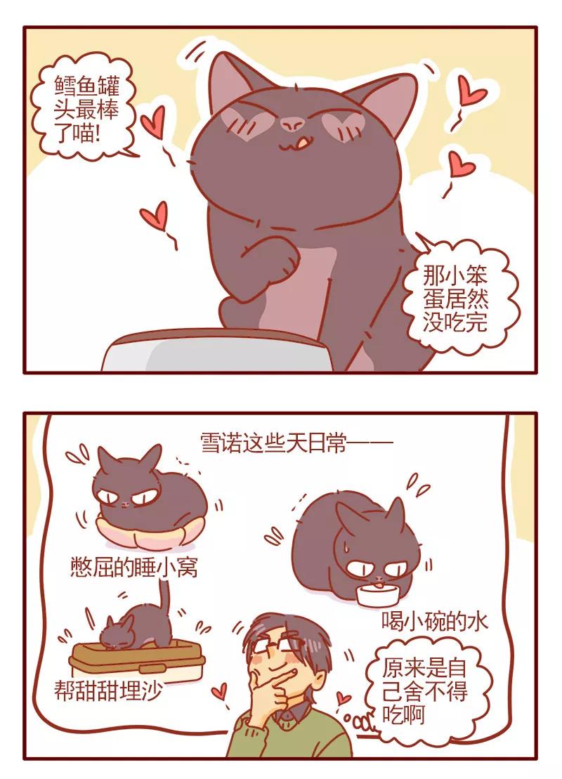 我只是一只小猫咪 第5话 第6页