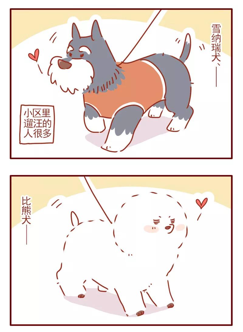 我只是一只小猫咪 第5话 第16页