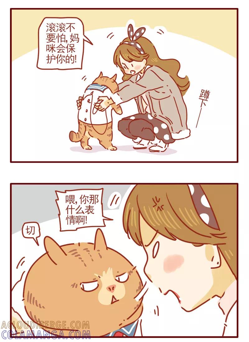 我只是一只小猫咪 第5话 第19页