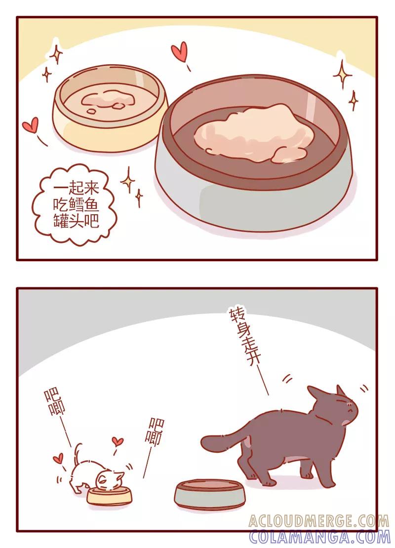 我只是一只小猫咪 第5话 第3页