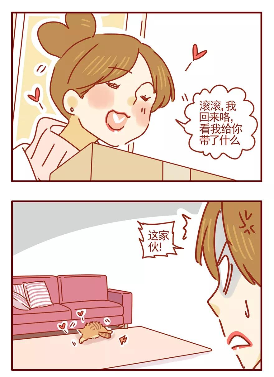 我只是一只小猫咪 第50话 第4页