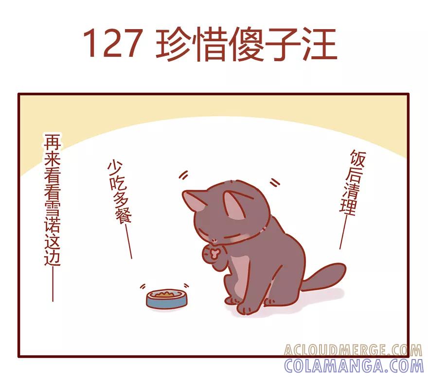 我只是一只小猫咪 第50话 第13页