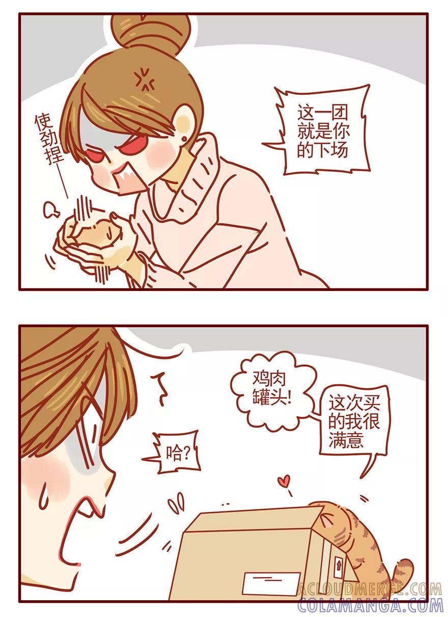 我只是一只小猫咪 第50话 第11页