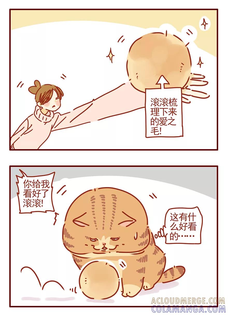 我只是一只小猫咪 第50话 第9页