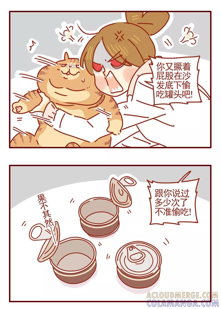 我只是一只小猫咪 第50话 第5页