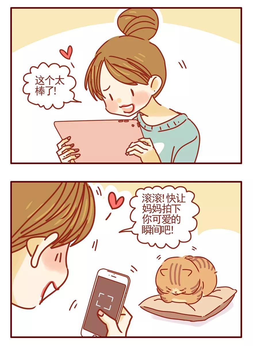 我只是一只小猫咪 第51话 第4页