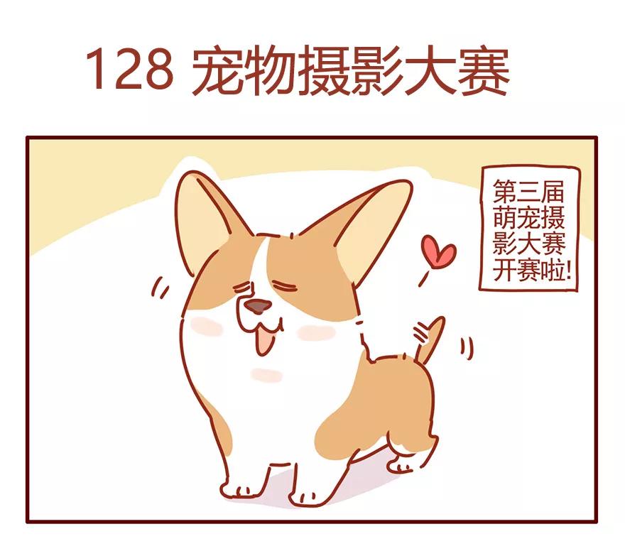 我只是一只小猫咪 第51话 第2页