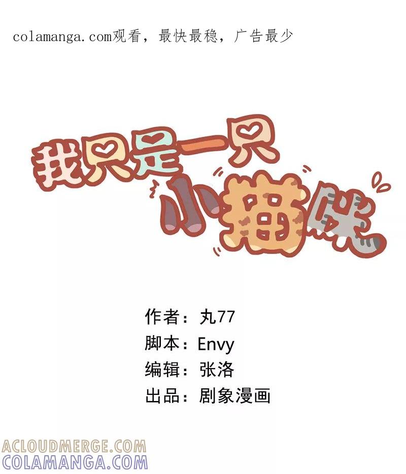 我只是一只小猫咪 第51话 第1页