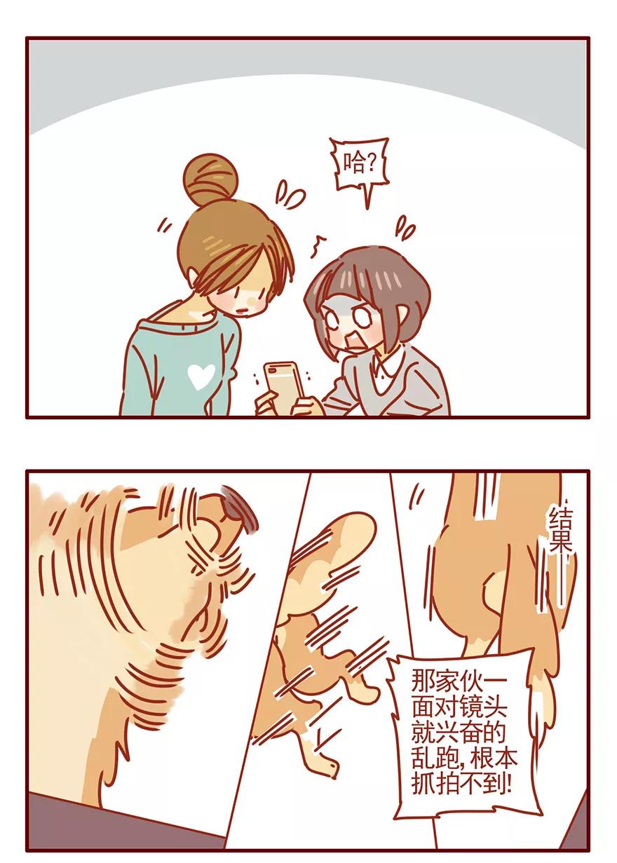 我只是一只小猫咪 第51话 第12页
