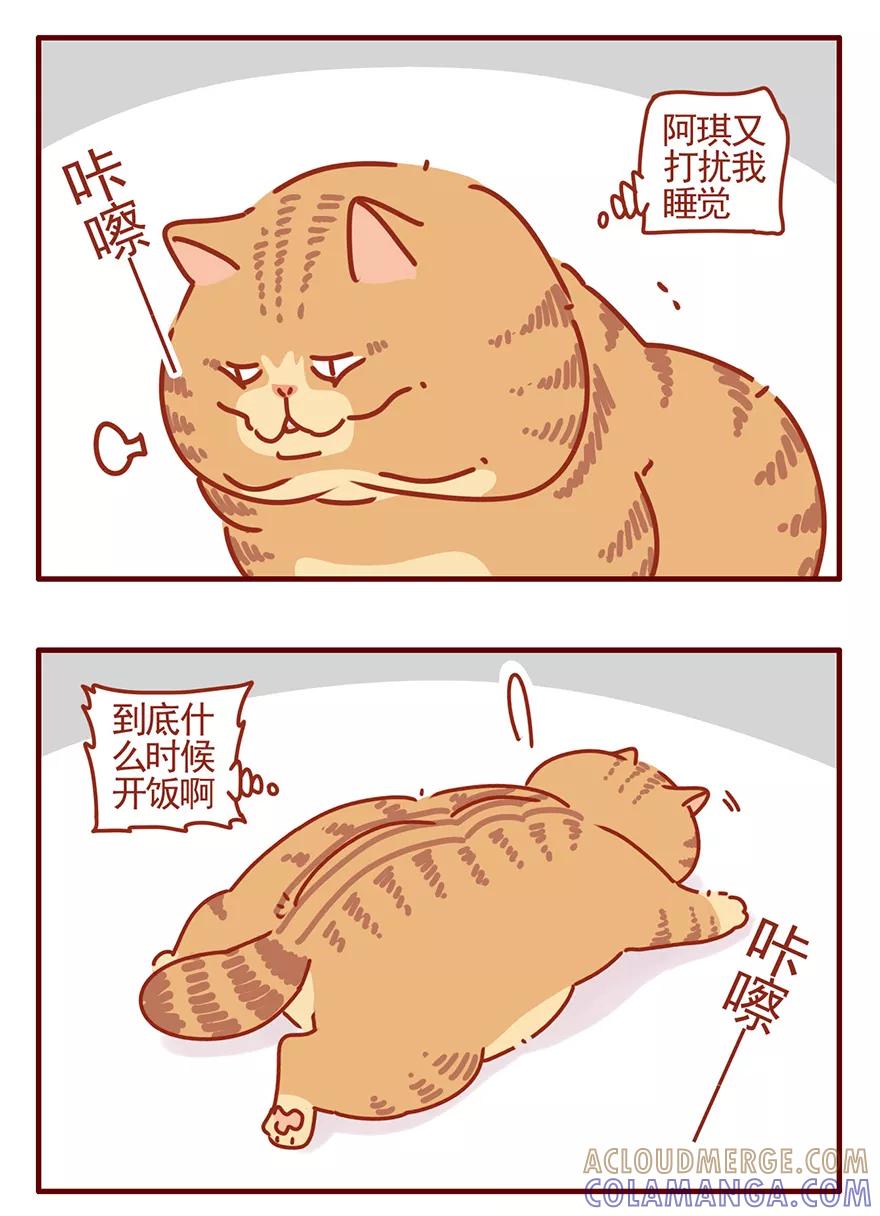 我只是一只小猫咪 第51话 第5页