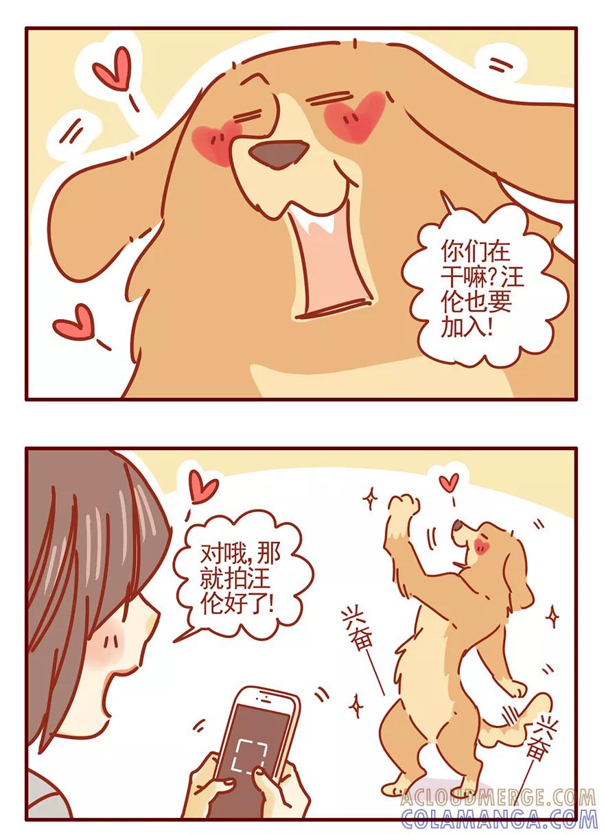我只是一只小猫咪 第51话 第11页