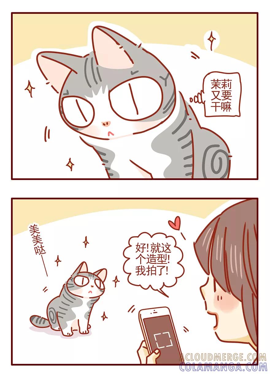 我只是一只小猫咪 第51话 第9页