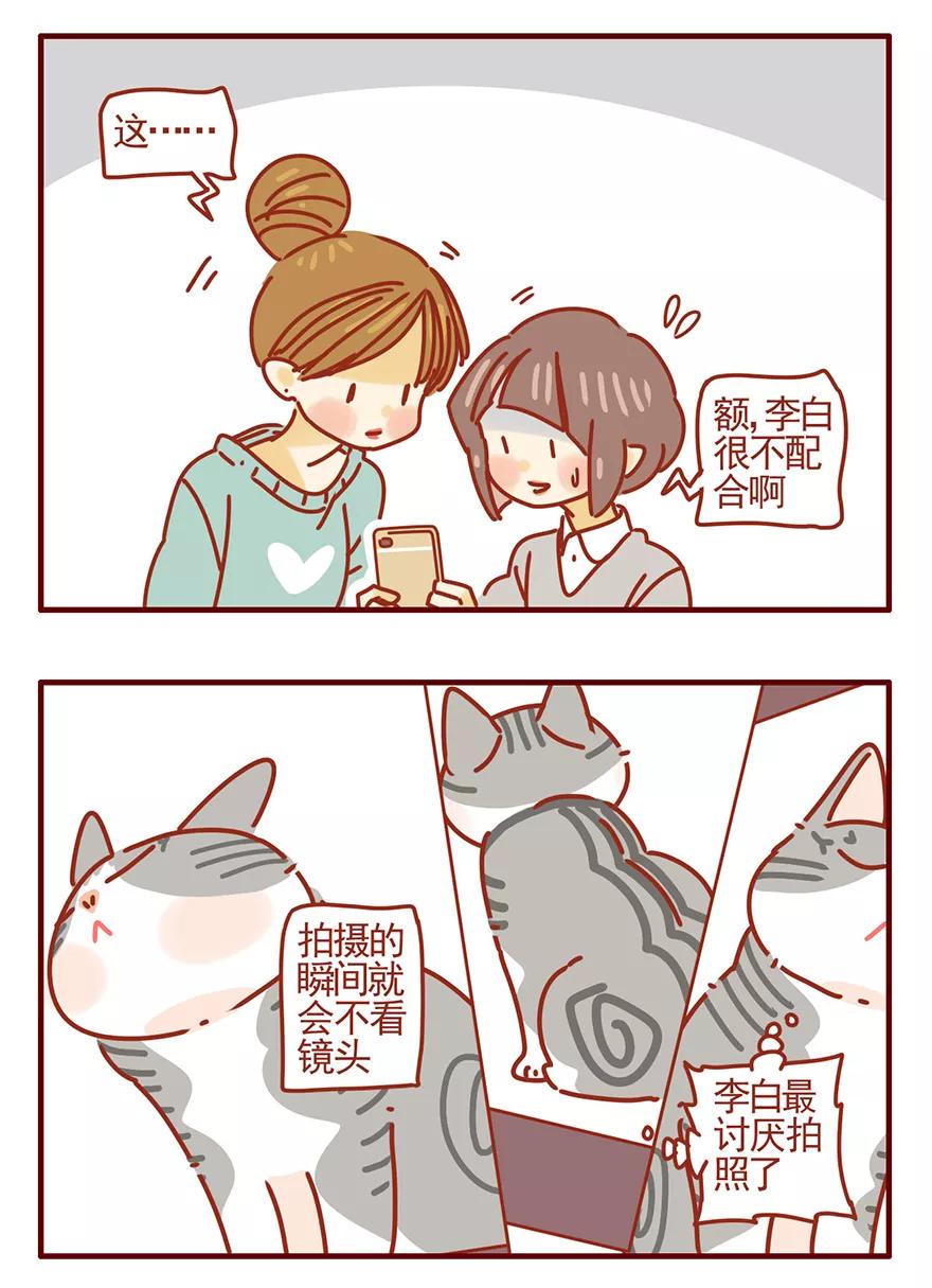 我只是一只小猫咪 第51话 第10页