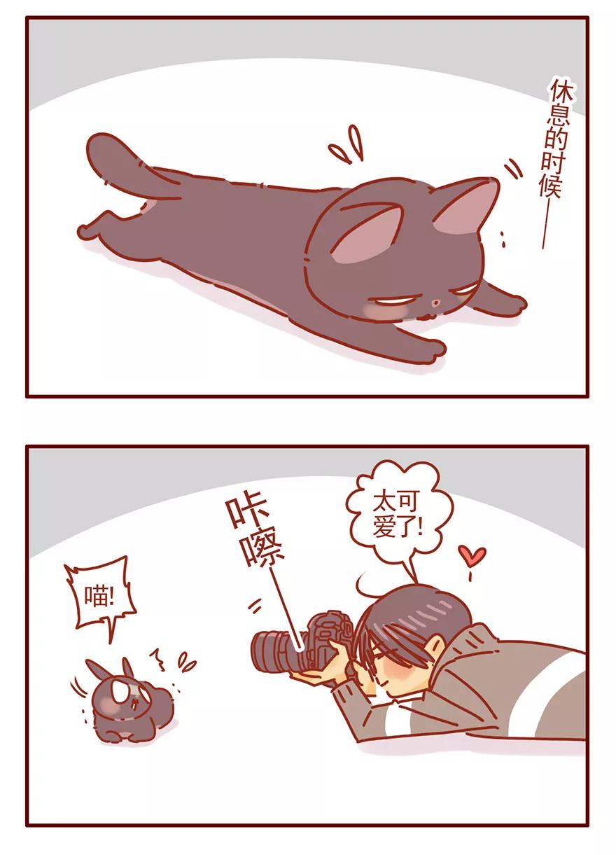 我只是一只小猫咪 第51话 第16页