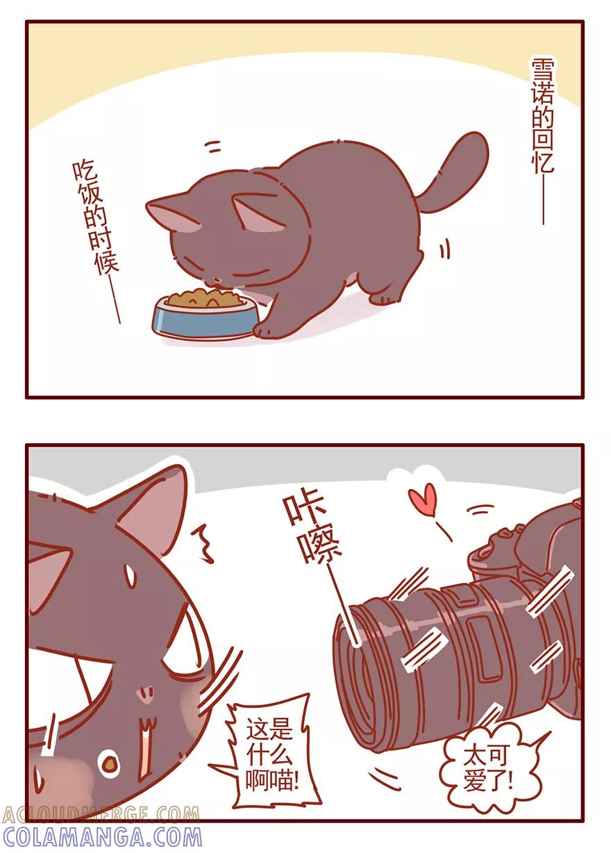 我只是一只小猫咪 第51话 第15页