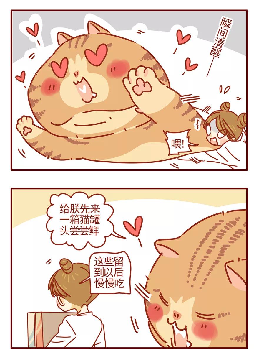 我只是一只小猫咪 第52话 第14页