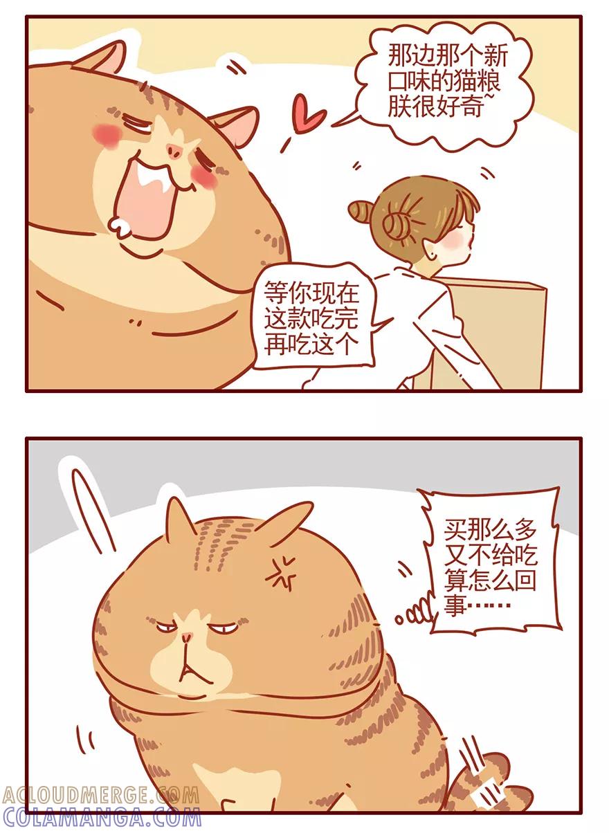我只是一只小猫咪 第52话 第15页