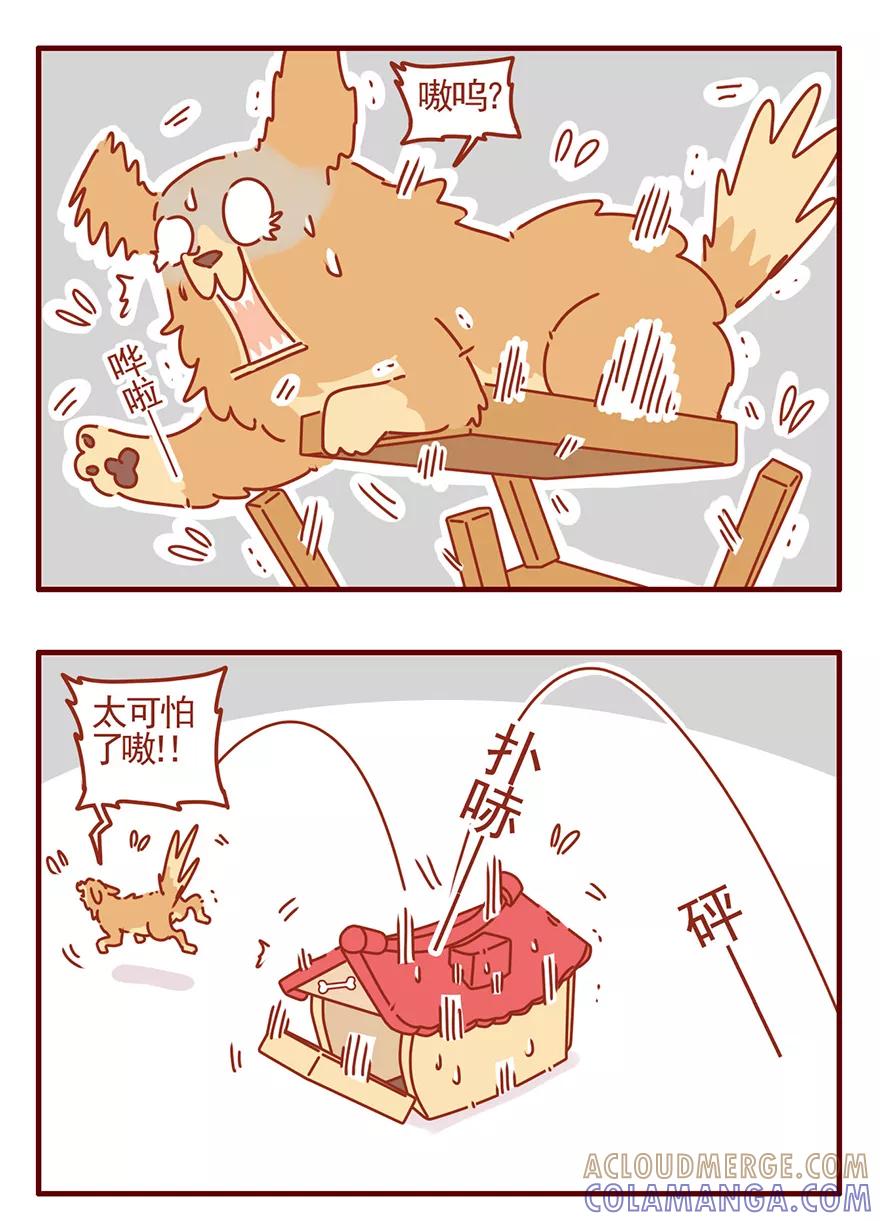 我只是一只小猫咪 第52话 第9页