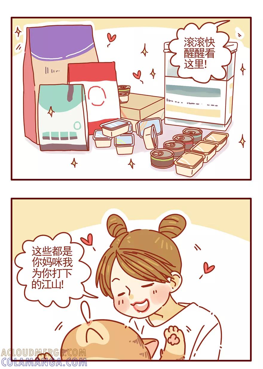 我只是一只小猫咪 第52话 第13页