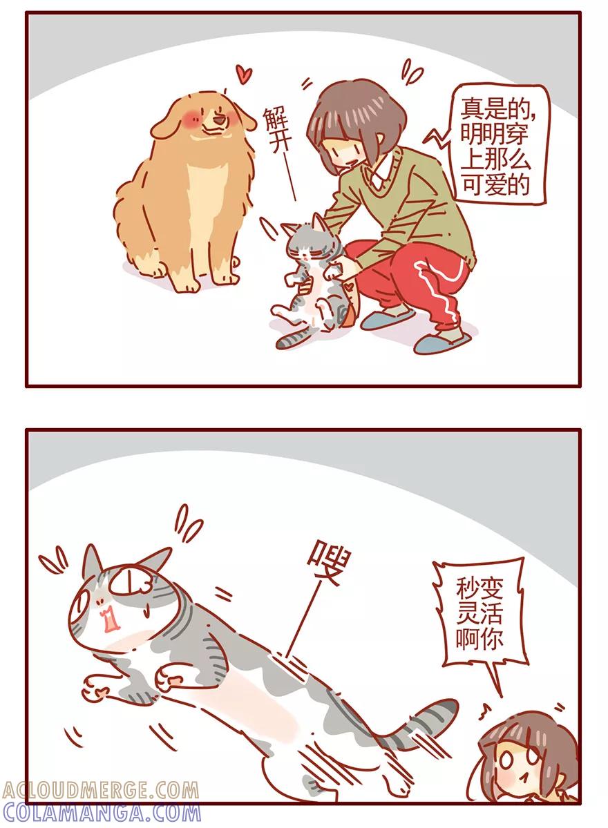 我只是一只小猫咪 第53话 第9页