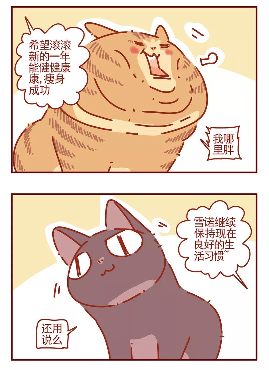 我只是一只小猫咪 第53话 第16页