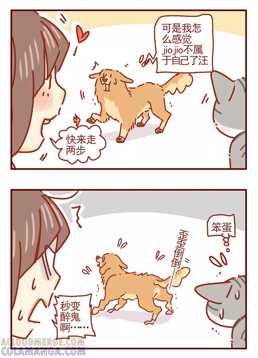 我只是一只小猫咪 第53话 第11页