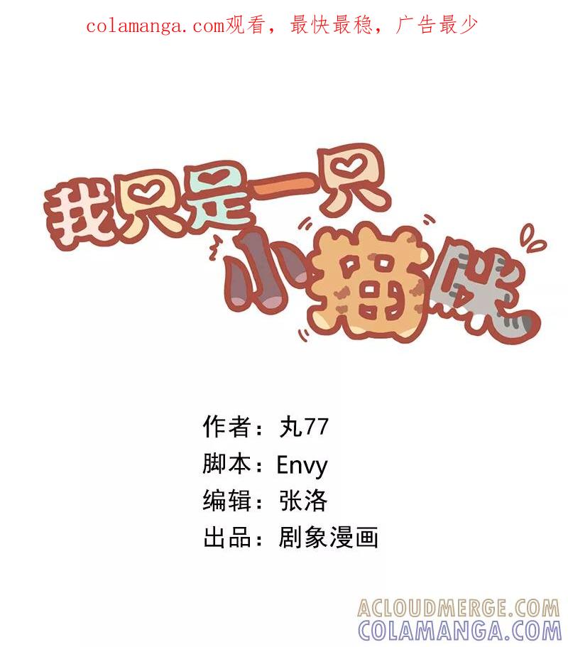 我只是一只小猫咪 第53话 第1页